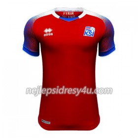 Fotbalový Dres Island Brankářské Domácí MS 2018